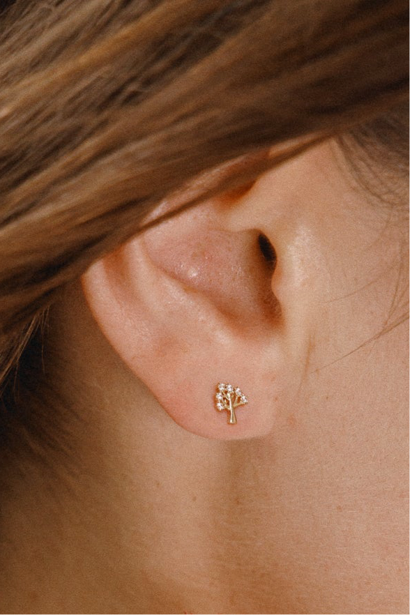 Detailaufnahme der Lebensbaum-Ohrstecker mit 12 Zirkonia – glänzendes Design aus 585er Gelbgold