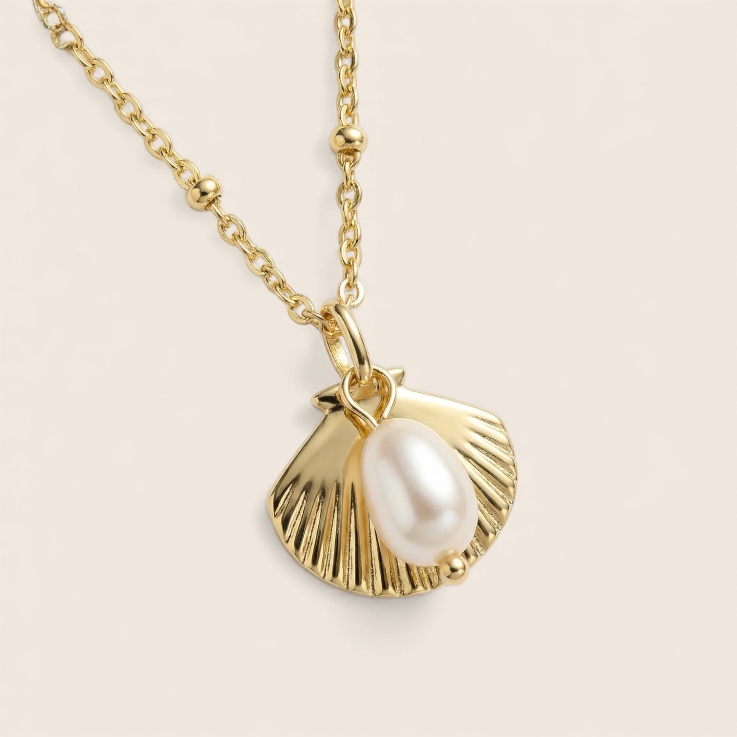 Muschel mit Perle „Meeresliebe“ – Minimalistische Halskette in 925 Silber oder vergoldetem 925 Silber