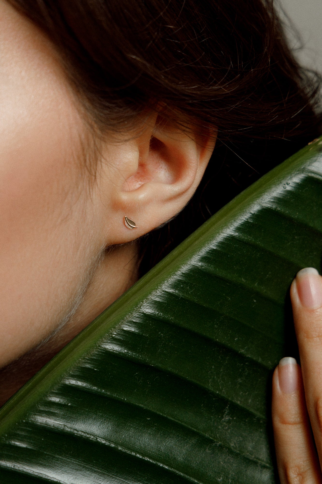 585 gold ear studs in leaf design – The Falling Leaf – Minimalist