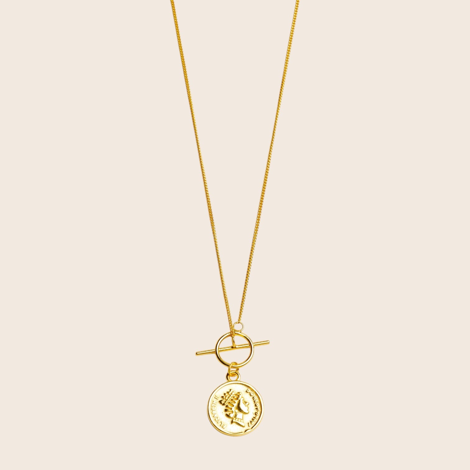 Collier pièce de monnaie de la reine Elizabeth II en argent 925 plaqué or 18 carats
